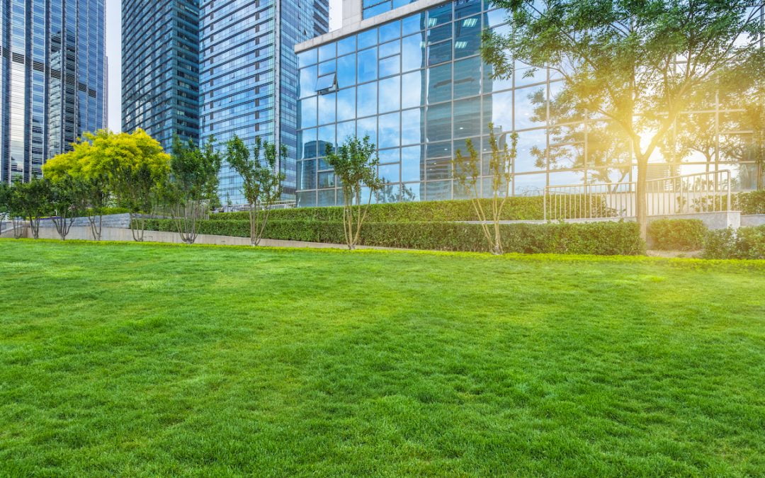 Modern buildings with glass facades and a sunlit grassy lawn in the foreground, surrounded by lush trees and shrubs.