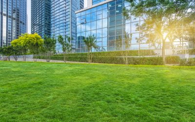 Commercial Landscape Maintenance Plans: What Should Property Managers Look For?