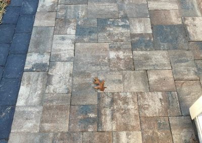 120262780 1209380019460889 7501881614796531005 o