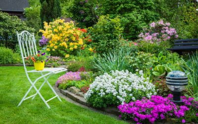 How to Choose what Flowers or Plants To Place in Your Yard