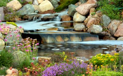3 Reasons Why You Should Add a Water Feature to Your Landscape
