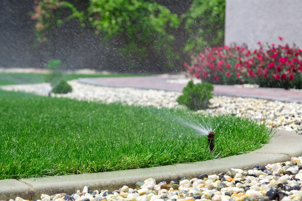 How To Reduce The Use Of Water For Your Landscape