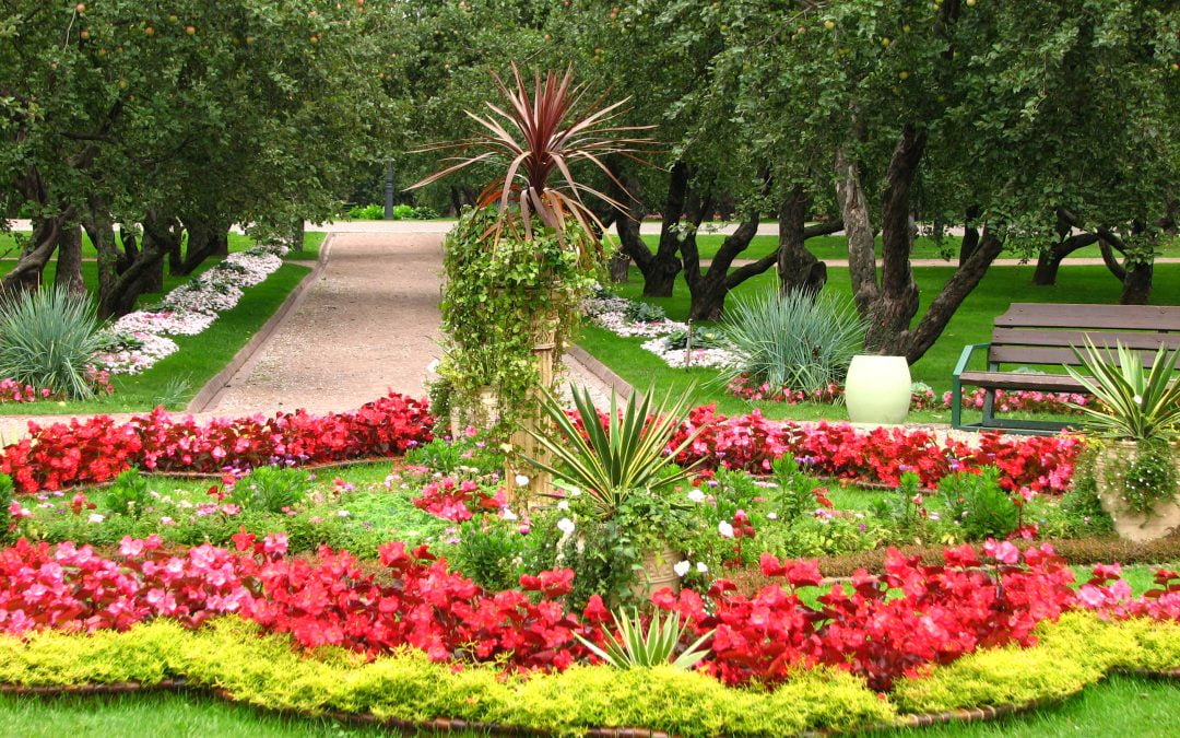 Green Scapes Unlimited: Transforming Outdoor Spaces with Exquisite Plant and Flower Beds