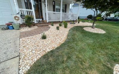 7 Signs Your Landscape Is Costing You More Than It Should
