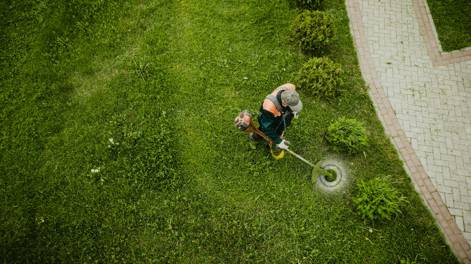 Landscaping Tips