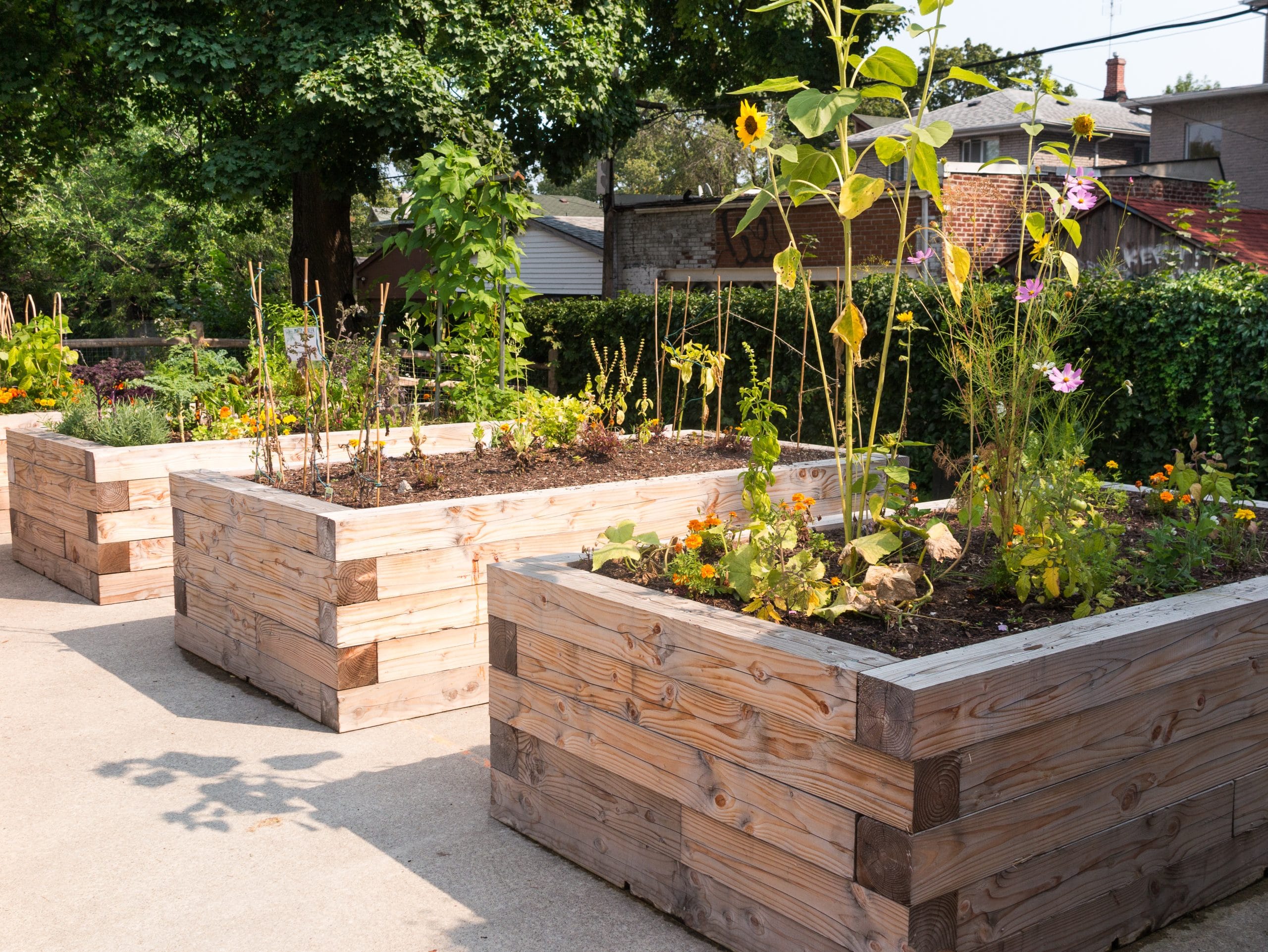 plant beds