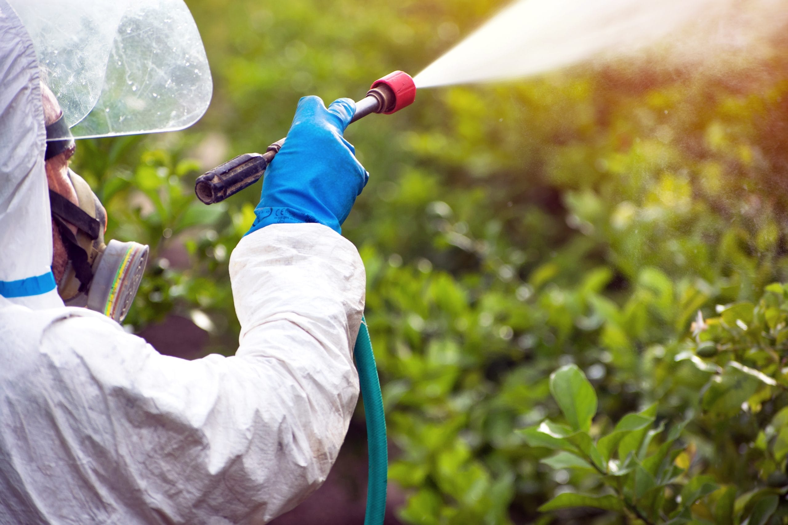Person in protective gear sprays plants for weed control in a green field, holding a hose and wearing gloves.