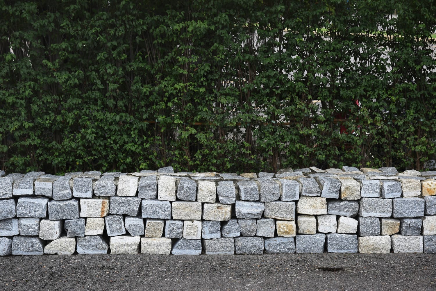 A low stone wall made of uneven bricks stands in front of dense green foliage.