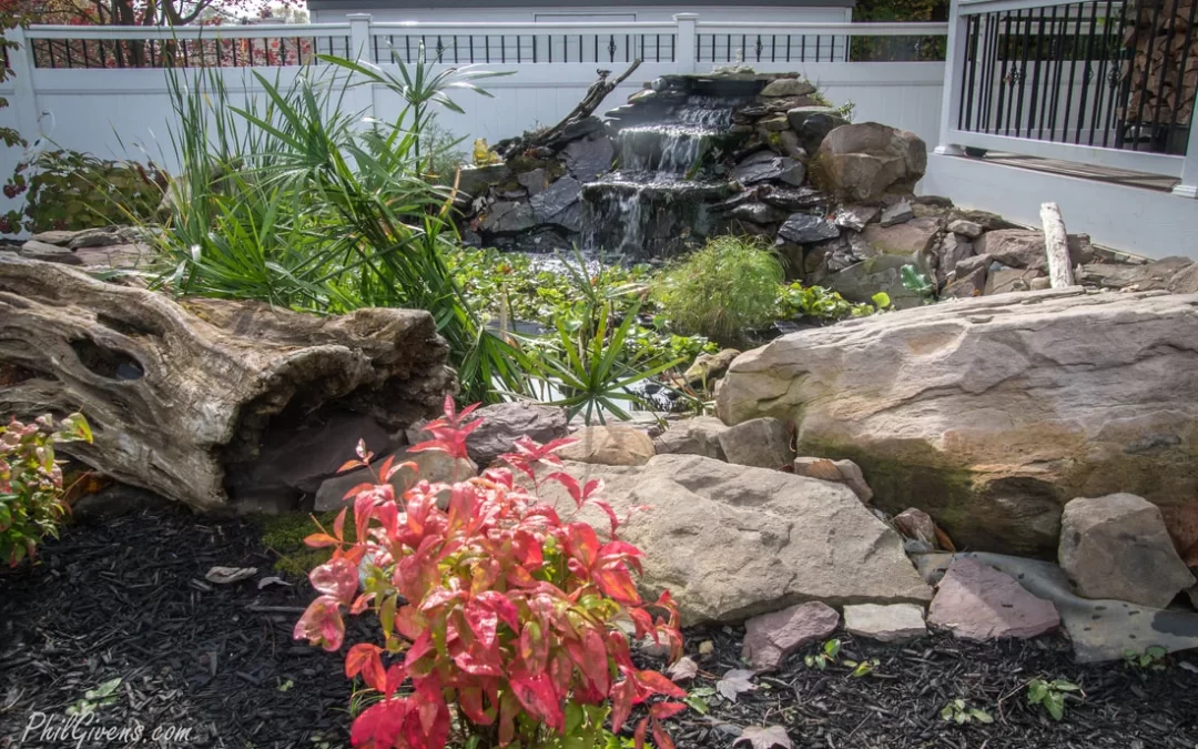 Small backyard pond with rocks, a waterfall, green plants, and red foliage in front, surrounded by a white fence.